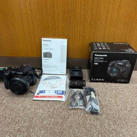 新品同様DMC-FZ300 4K オマケ付き