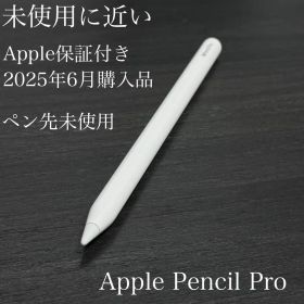 未使用に近 ペン先未使用 保証 25年6月購入 Apple Pencil Pro