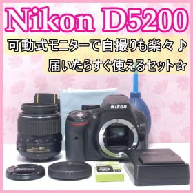 ⭐️バリアングル液晶搭載⭐️Nikon D5200 ニコン デジタル一眼レフ