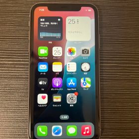 Apple iPhone 11 パープル 本体のみ