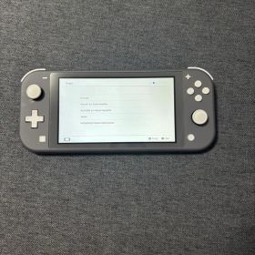 Nintendo Switch Lite グレー 本体 SDカード128G付き