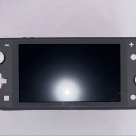 Nintendo Switch Lite グレー 本体 ACアダプター付き