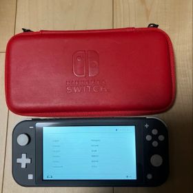【即購入OK】Nintendo Switch Lite グレー 本体 ケース付き