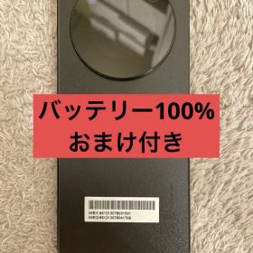 「ほぼ未使用」nubia Flip 5G 256GB 美品