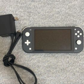 Nintendo Switch Lite 本体 ケース充電器付き