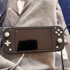 Nintendo Switch Lite グレー 本体