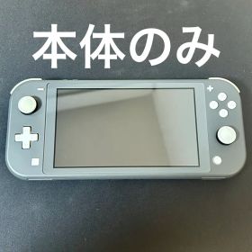 Nintendo Switch Lite グレー 本体のみ