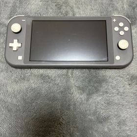Nintendo Switch Lite グレー 本体（ジャンク品）