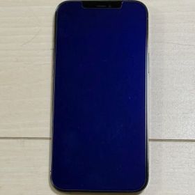 iPhone 12ProMax 本体