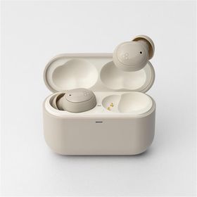 final（ファイナル） ワイヤレスイヤホン FI-ZE5DPLTWCR