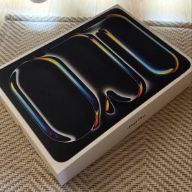 極美品 iPad Pro (M5) 11インチ 256GB スペースグレー