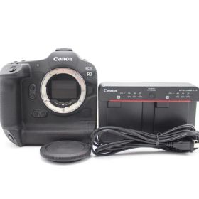 ショット数74000以下！■美品■ CANON EOS R3 ボディ フルサイズ ミラーレスカメラ キヤノン ♯11303