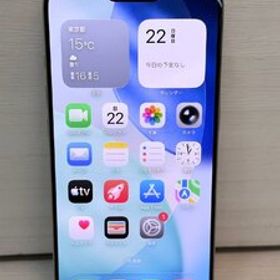Apple iPhone 16 Pro 256GB 店頭展示機 バッテリー100％ 充放電回数5回 SIMフリー 13