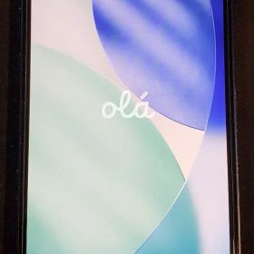 Apple iPhone 12 mini 本体 箱 充電ケーブル(未使用)付き