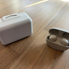 ソニー ワイヤレスイヤホン WF-1000XM5 プラチナシルバー