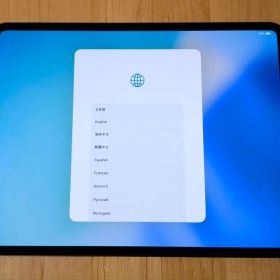 【Wi-Fi+Cellular】13インチiPad Pro (M4)【1TB】