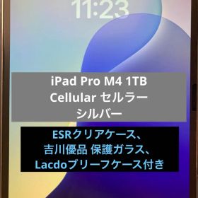 13インチ iPad Pro (M4) 1TB セルラー
