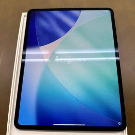 iPad Pro 13インチ 256GB wifi-cell MVXR3J/A