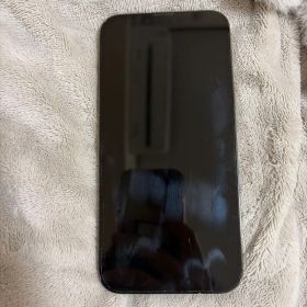 Apple iPhone 13 ProMax 本体 ジャンク品 値下げ交渉可能