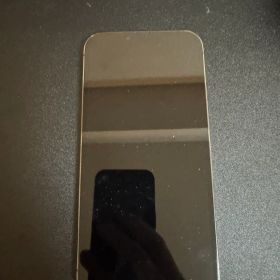 iPhone 13 Pro Max 256GB グラファイト