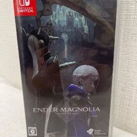 Nintendo Switch ソフト エンダーマグノリア ブルームインザミスト通常版