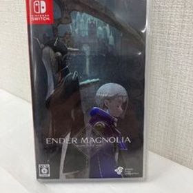 Nintendo Switch ソフト エンダーマグノリア ブルームインザミスト通常版 A-1