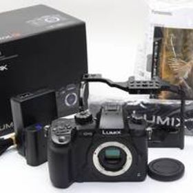 A+ (美品) Panasonic パナソニック LUMIX DC-GH5 ボディ ショット数4518回 初期不良返品無料 3-133