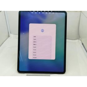 【中古】Apple 【Wi-Fi】 13インチ iPad Pro（M4/2024） 256GB スペースブラック 標準ガラス MVX23J/A【川崎駅前】保証期間１ヶ月【ランクA】