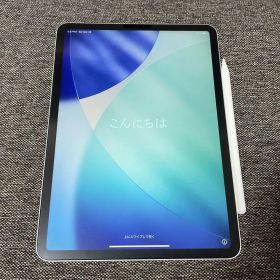 【美品】iPadPro第2世代 Cellular 11インチ 256GB