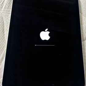 iPadPro 第2世代 11インチ 256GB cellular+Wi-Fi