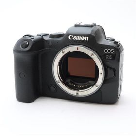 《並品》Canon EOS R6