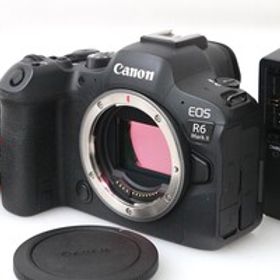 【全額返金保証】良品｜キヤノン EOS R6 Mark II ボディ （センサー清掃済） CA01-M5511-2K1