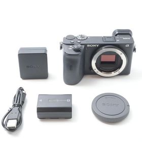 ソニー SONY α6600 ボディ ILCE-6600