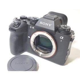 α1 II ILCE-1M2 ボディ