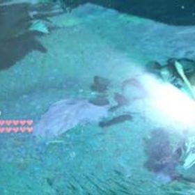 ウルフリンク amiibo ハート20データ入 ゼルダの伝説 アミーボ