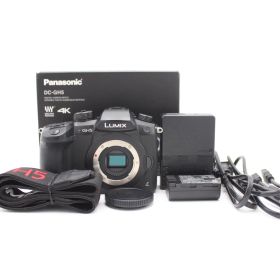 ショット数25150！■美品■ PANASONIC パナソニック ミラーレス一眼カメラ ルミックス GH5 ボディ ブラック DC-GH5-K ♯11606