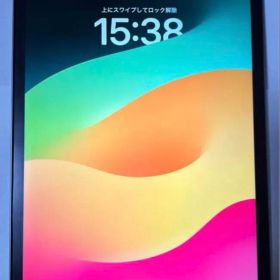 早い者勝ち】iPad Pro 11インチ 第2世代 128GB 【すぐ発送】