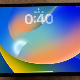 iPad Pro M4 11インチ256GB WiFi 美品