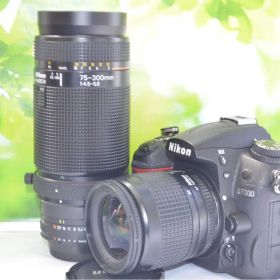 超望遠レンズ付き Nikon D7000 ダブルレンズ 美品 おまけ充実 ニコン