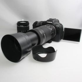 キャノン Canon EOS R6 STMダブルズーム 当店限定多数のオマケ付き