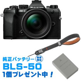 OM SYSTEM オーエムシステム OM-5 Mark II 12-45mm F4.0 PROレンズキット ブラック＋P-CB-296(ディープグレー) セット 今なら純正スペアバッテリープレゼント！