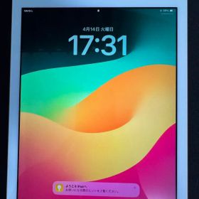 ゴールド iPad 本体とペンシル一本