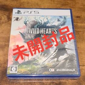 WILD HEARTS PS5
