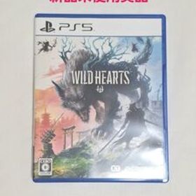 【極美品50％OFF】 WILD HEARTS 初回限定特典付（PS5）