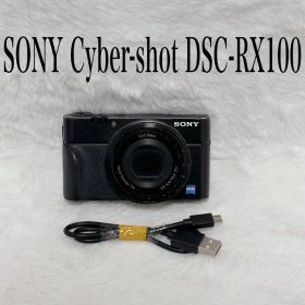 Sony Cyber-shot DSC-RX100 初代