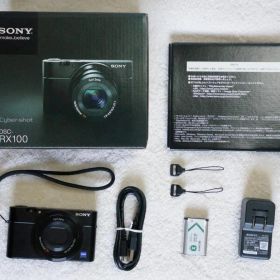 【付属品完備】SONY Cyber-shot DSC-RX100 初代