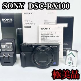 【極美品】SONY ソニー サイバーショット dsc-rx100 初代 デジカメ