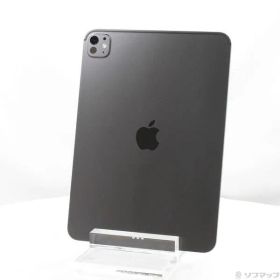 ソフマップ 〔中古品〕 iPad Pro 11インチ(M5) 標準ガラス 1TB スペースブラック MDWP4J／A Wi-Fi【305】