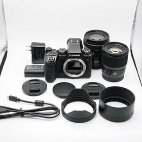 新品級 パナソニック Panasonic DC-S5M2W ダブルズームセット