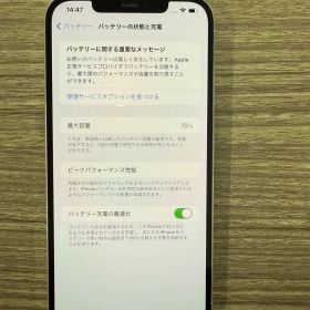 iPhone 12 Pro Max 256GB